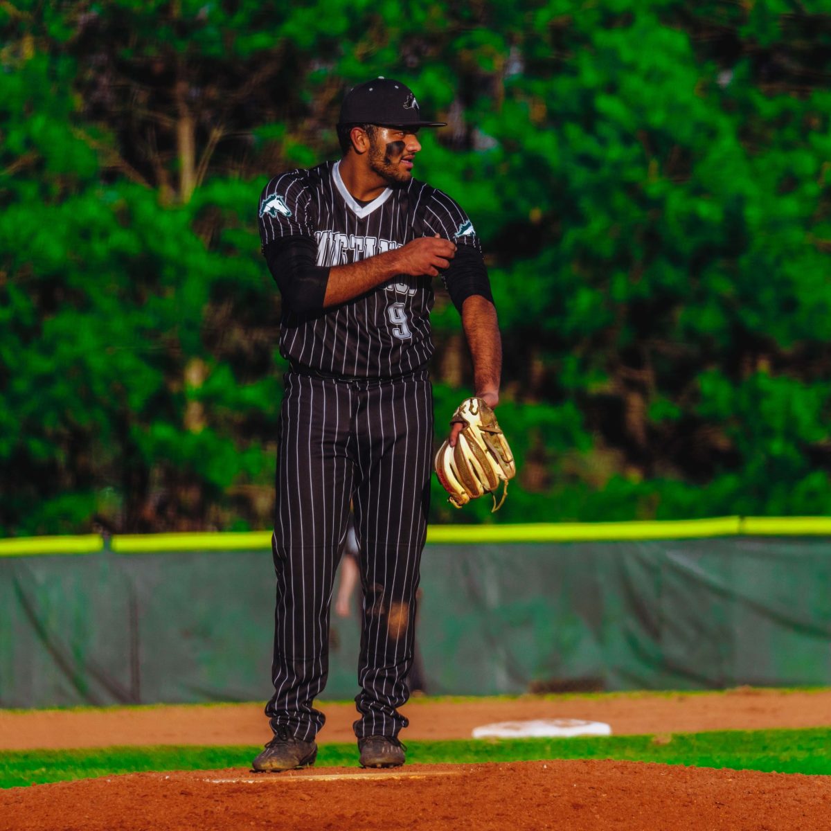 Willie_Prince_Kennesaw_Mountain_baseball.31
